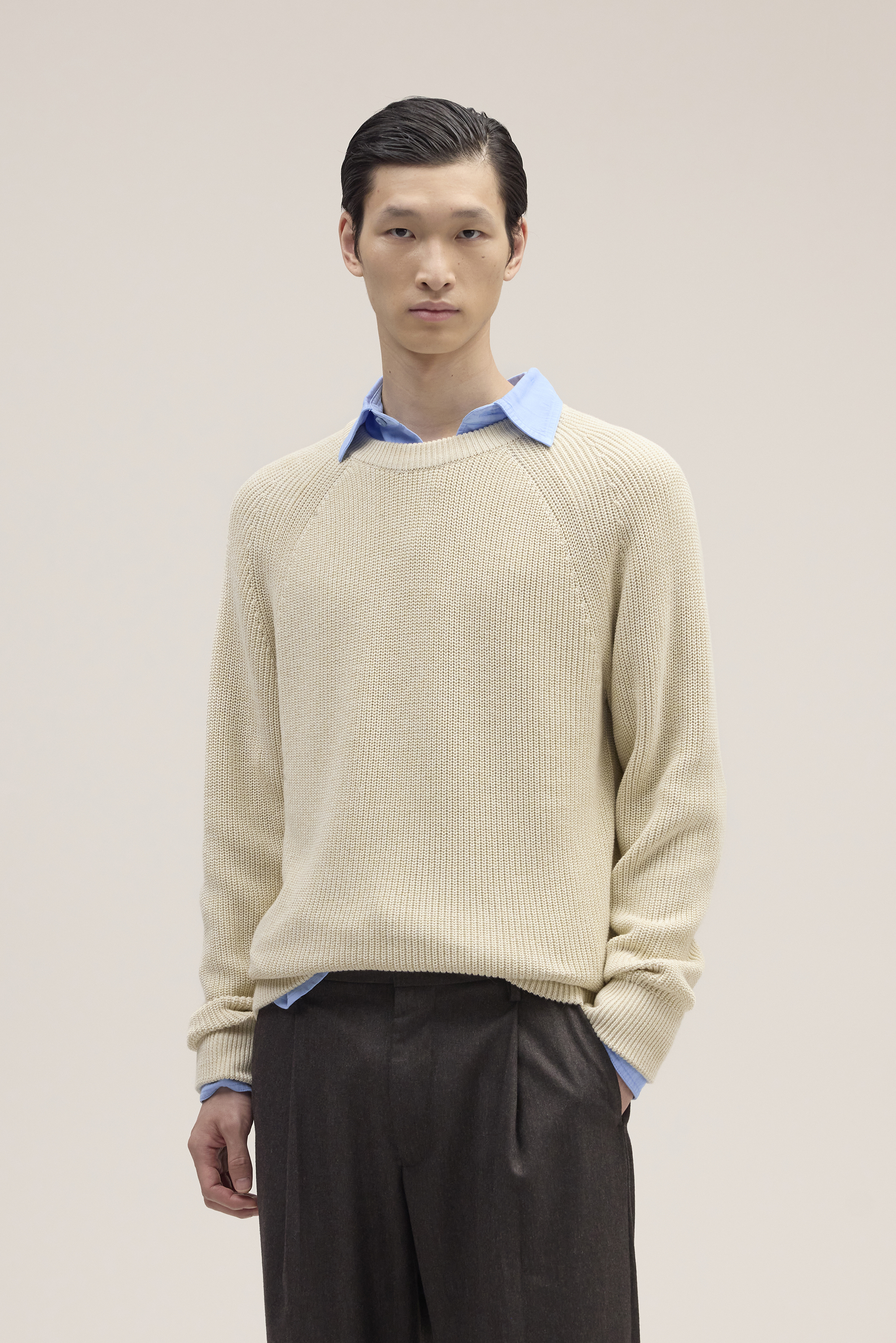 Jacobo 6470 men's sweater - Ivory - Buy online at NN.07®